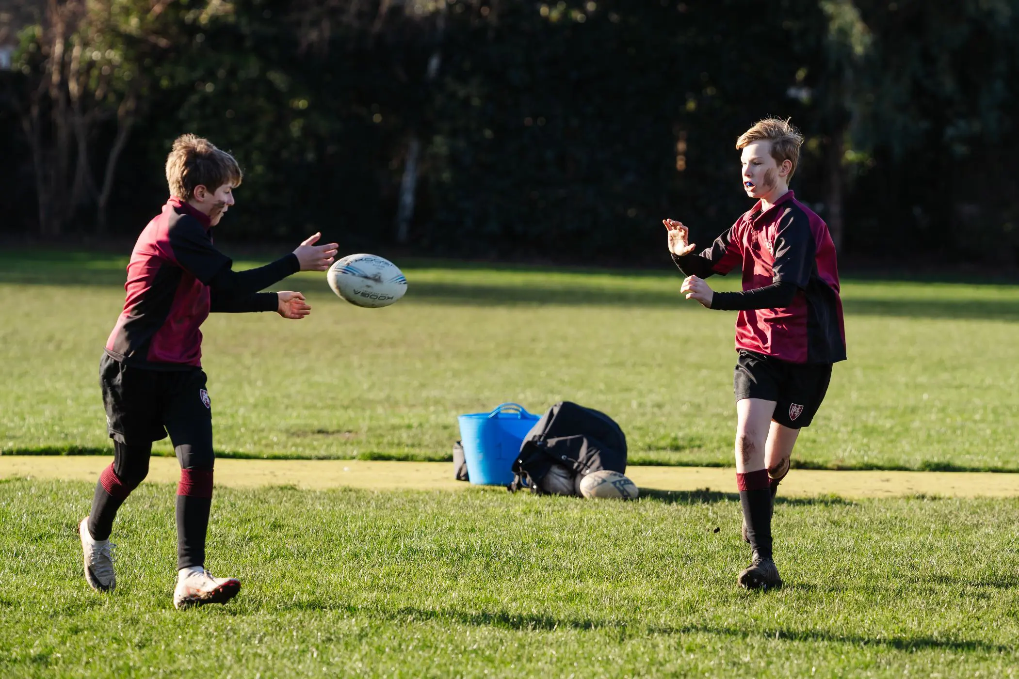 OptimizedImage,Optimized