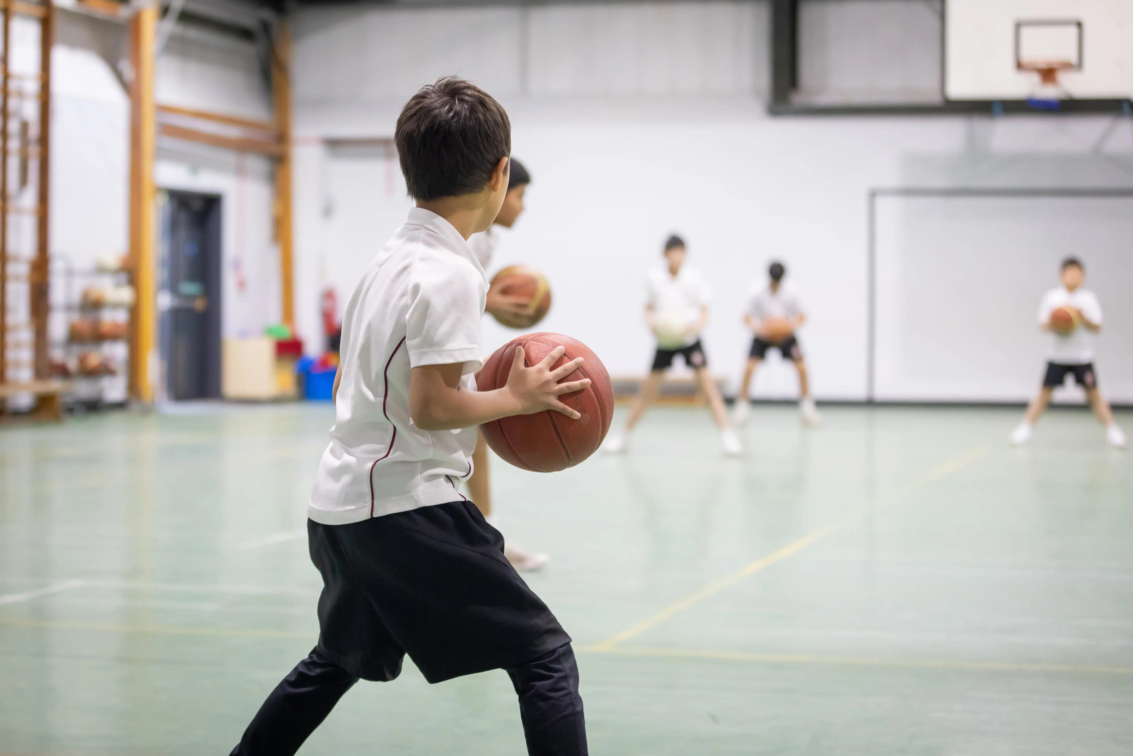 OptimizedImage,cricket,,Optimized