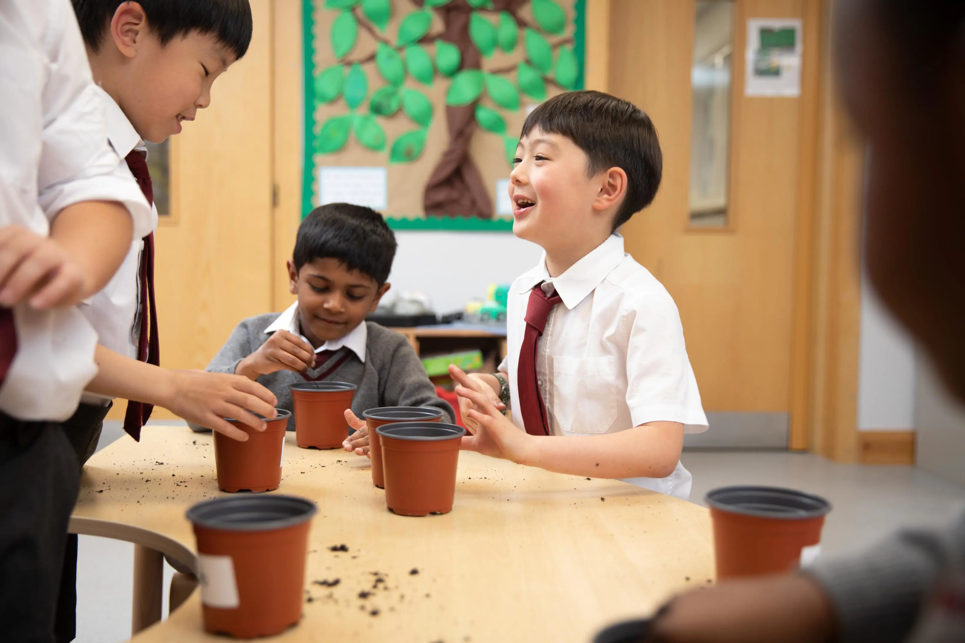  OptimizedImage,Optimized