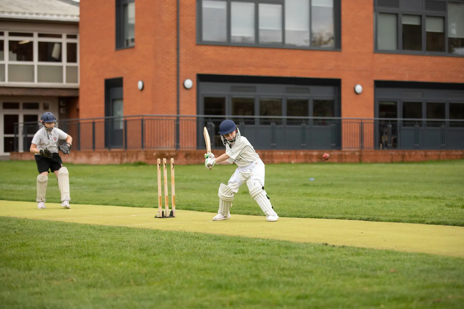  OptimizedImage,Optimized