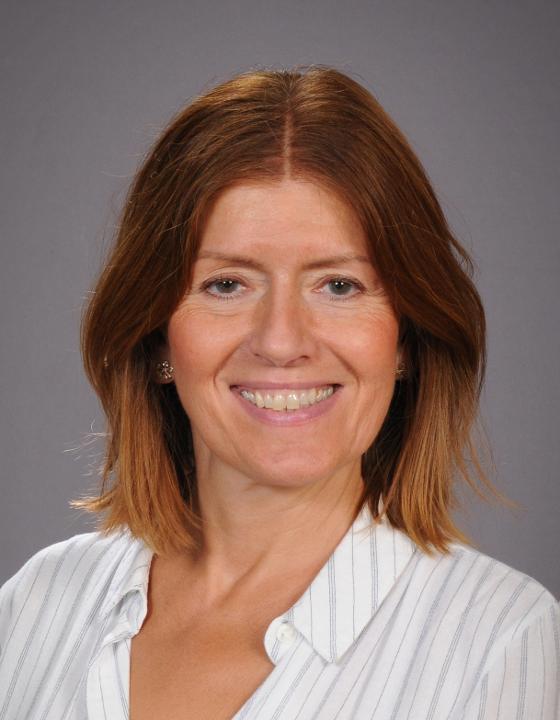 OriginalImage,,,Original