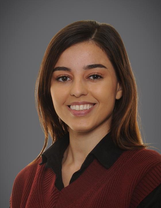 OriginalImage,Original